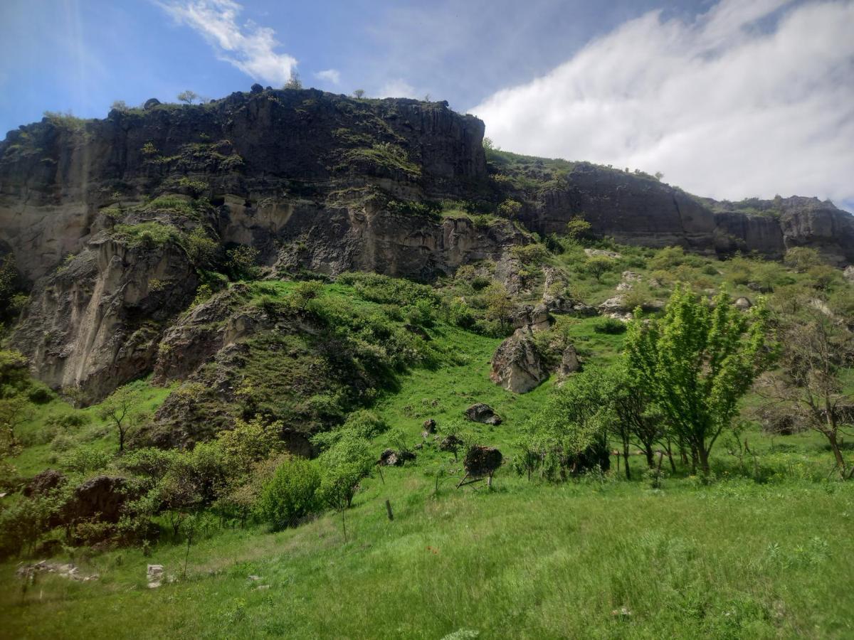 Сhachkari Bed & Breakfast Vardzia  Bagian luar foto